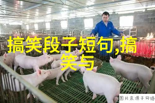 猖狂的小偷