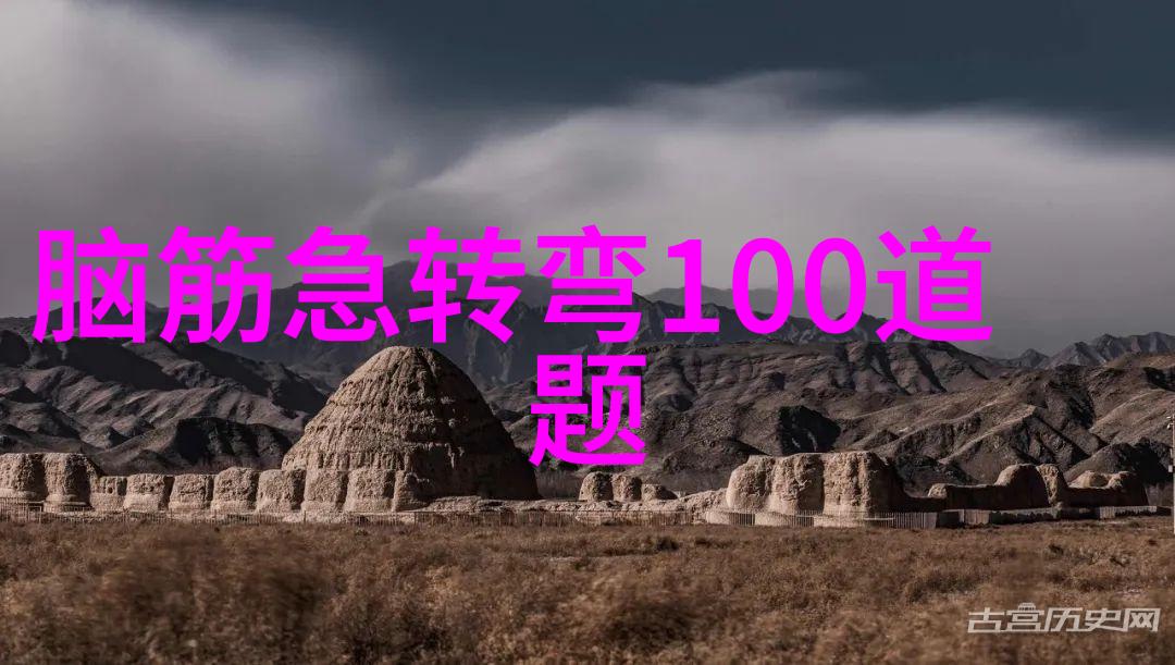 尚有河南未定 打一成语